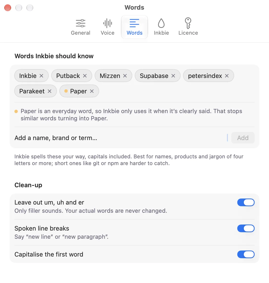 Inkbie's Settings, Words tab: custom words and the clean-up switches